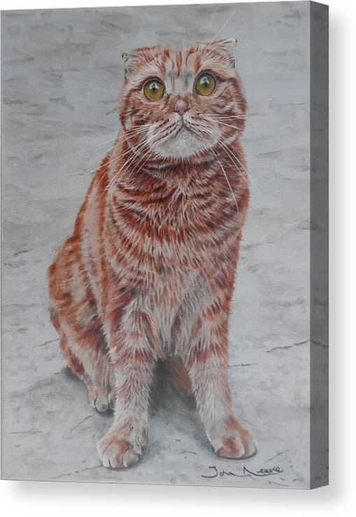 Cat Canvas Print featuring the painting Pickles the Cat by John Neeve
