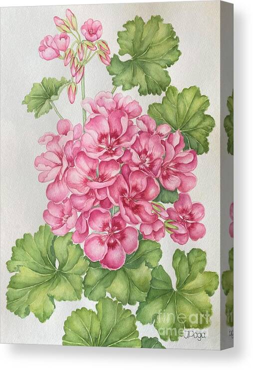 Geranium Canvas Print featuring the painting Pink rose geranium by Inese Poga
