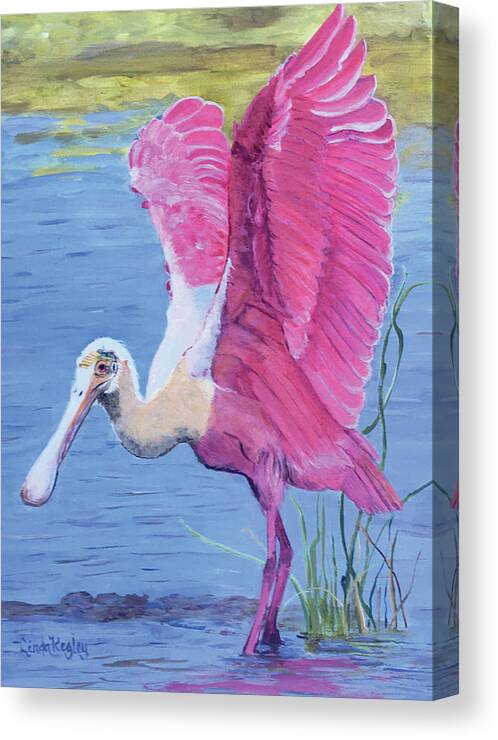 Roseate Spoonbill Canvas Print featuring the painting Pretty in Pink by Linda Kegley