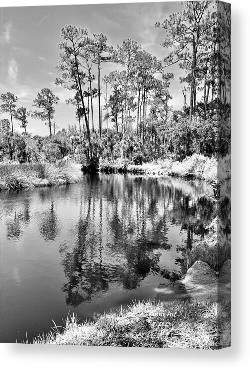 Princess Place Flagler County Florida Canvas Print featuring the pyrography Princess Place 2 by John Anderson