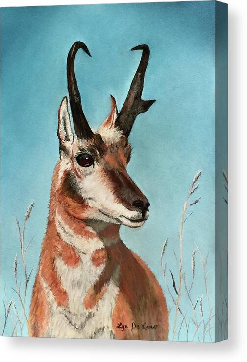 Original For Sale Framed. Canvas Print featuring the pastel Pronghorn King by Lyn DeLano