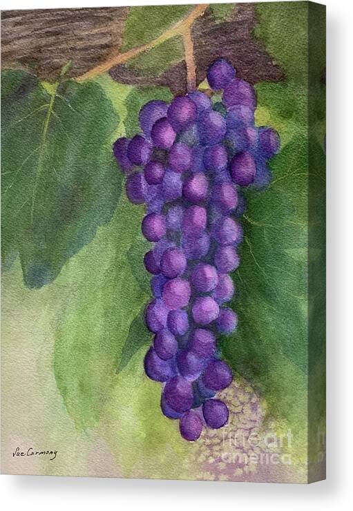 Grapes Canvas Print featuring the painting Ready to Pick by Sue Carmony