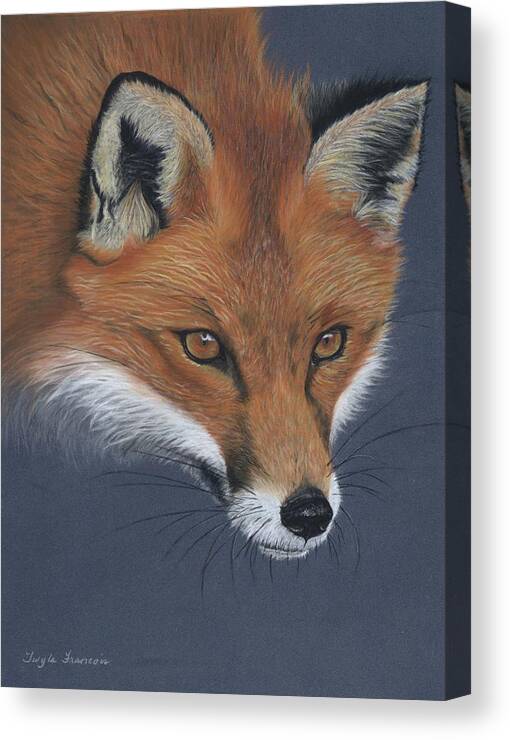 Red Fox Canvas Print featuring the pastel Red Fox by Twyla Francois