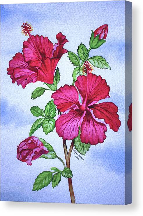 Watercolor Painting Red Hibiscus Flower Wall Art, Canvas Prints, Framed  Prints, Wall Peels