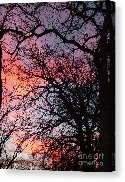 Nature Canvas Print featuring the photograph Sundown Time by Mary Mikawoz