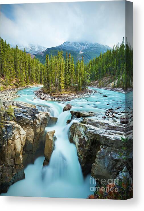 Sunwapta Falls Canvas Print featuring the photograph Sunwapta falls, Jasper National Park, Alberta, Canada by Neale And Judith Clark