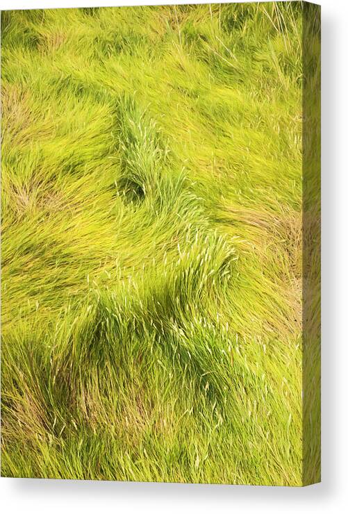 Repetition Canvas Print featuring the photograph Swamp Grass LInes by Gary Slawsky