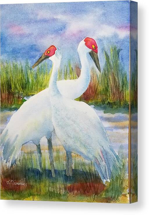 Sandhill Cranes Canvas Print featuring the painting The Locals by Ann Frederick