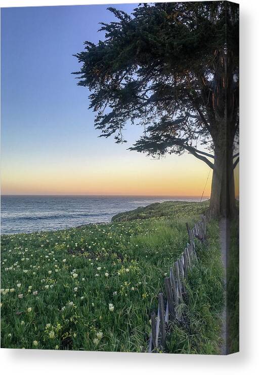 West Cliff Drive Canvas Print featuring the photograph West Cliff Path by Jennifer Kane Webb