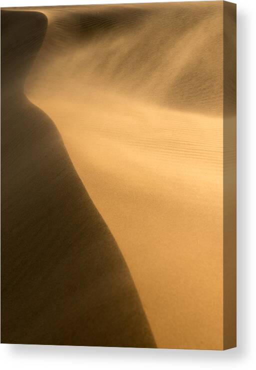 Sand Dune Canvas Print featuring the photograph Windy Sand Dune by Peter Boehringer
