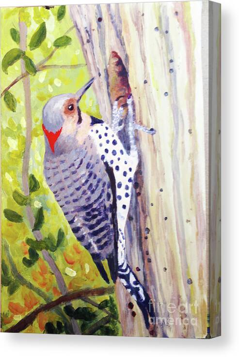 Woodpecker Canvas Print featuring the painting Yellow Bellied Sapsucker by Anne Marie Brown