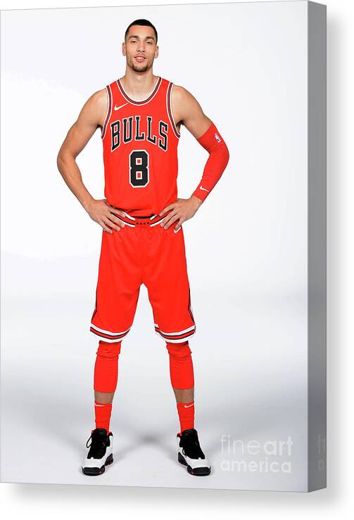 Media Day Canvas Print featuring the photograph Zach Lavine by Randy Belice