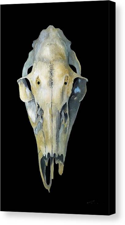 Deer Canvas Print featuring the painting Deer Skull Aura by Catherine Twomey
