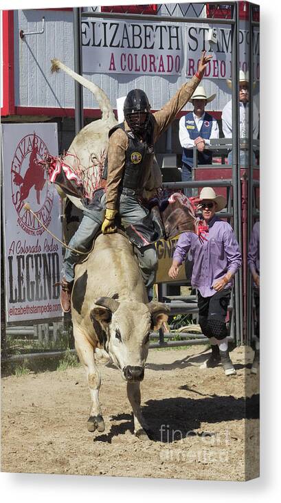 Rodeo Canvas Print featuring the photograph Holding On by Steven Parker