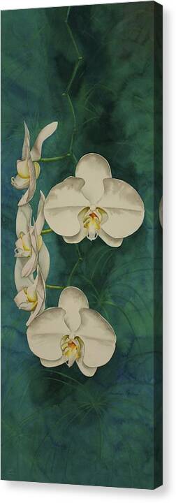 Orchid Canvas Print featuring the painting Phalaenopsis Beauty by Heather Gallup