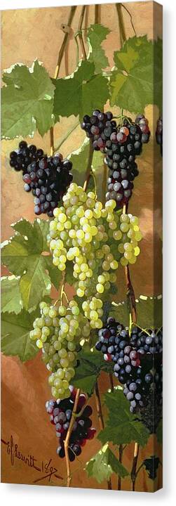Grapes Canvas Print featuring the painting Grapes by Edward Chalmers Leavitt