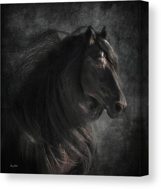 Horse Canvas Print featuring the digital art Anton 343 by Fran J Scott