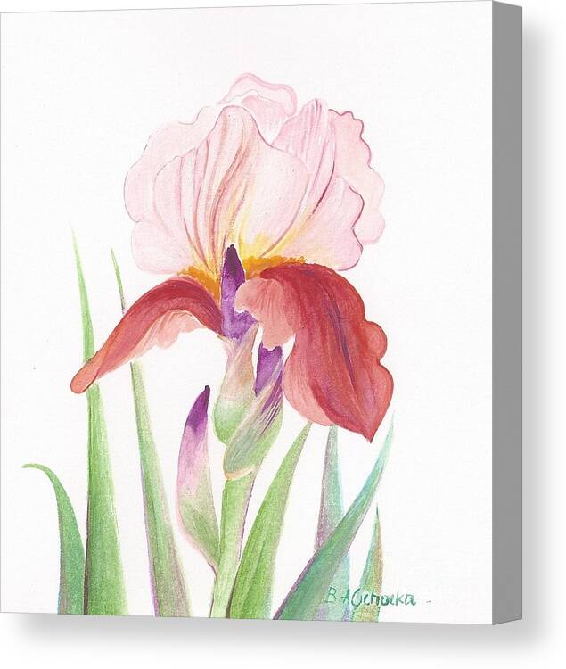 Floral Canvas Print featuring the painting Iris by Barbara Anna Cichocka