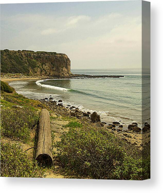 Rancho Palos Verdes Canvas Print featuring the photograph Abalone Cove Coastline by Ron Regalado