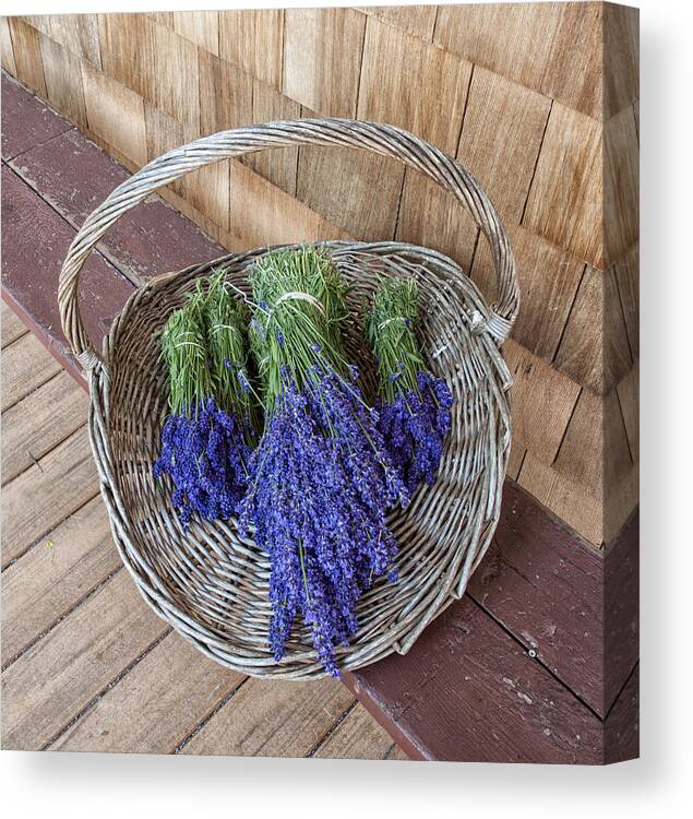 Lavender Canvas Print featuring the photograph Basket of lavender by Roni Chastain