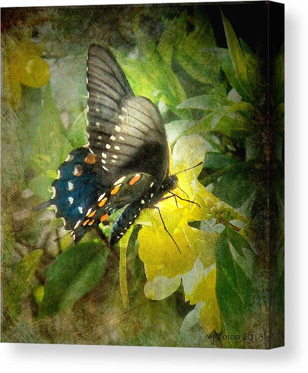 Butterfly And Jasmine - Bill Voizin Canvas Print featuring the photograph Butterfly and Jasmine by Bill Voizin