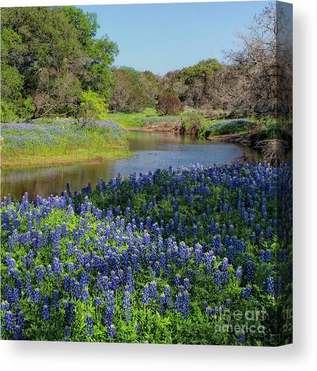 Landscape Canvas Print featuring the photograph By the stream by Cathy Alba