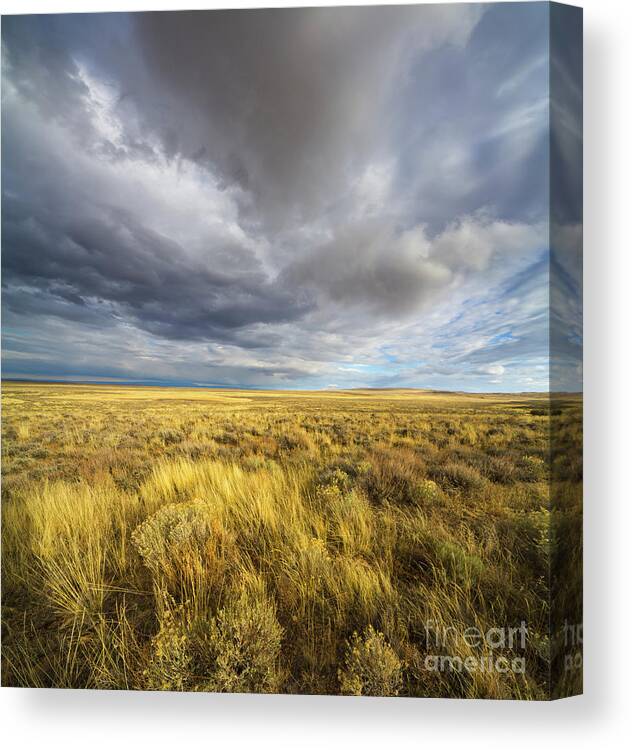 00463511 Canvas Print featuring the photograph Clouds and Prairie Hart Mt N R by Yva Momatiuk John Eastcott