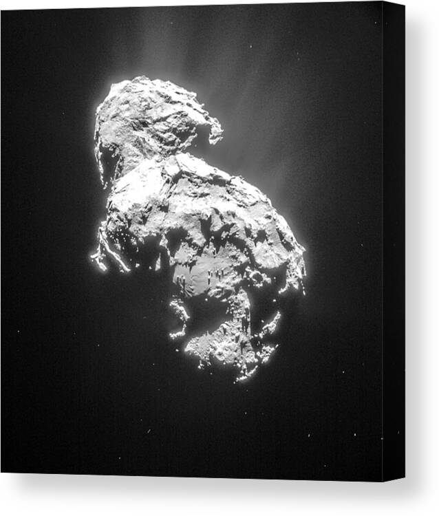 Comet Canvas Print featuring the photograph Comet 67pchuryumov-gerasimenko by Science Source