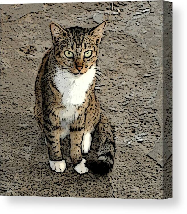 Animals Canvas Print featuring the photograph Curious gaze by Janis Palma