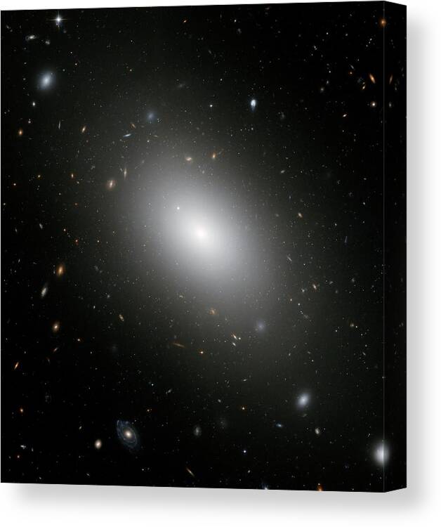 Ngc 1132 Canvas Print featuring the photograph Elliptical Galaxy Ngc 1132 by Nasa/esa/hubble Heritage Team/stsci/science Photo Library