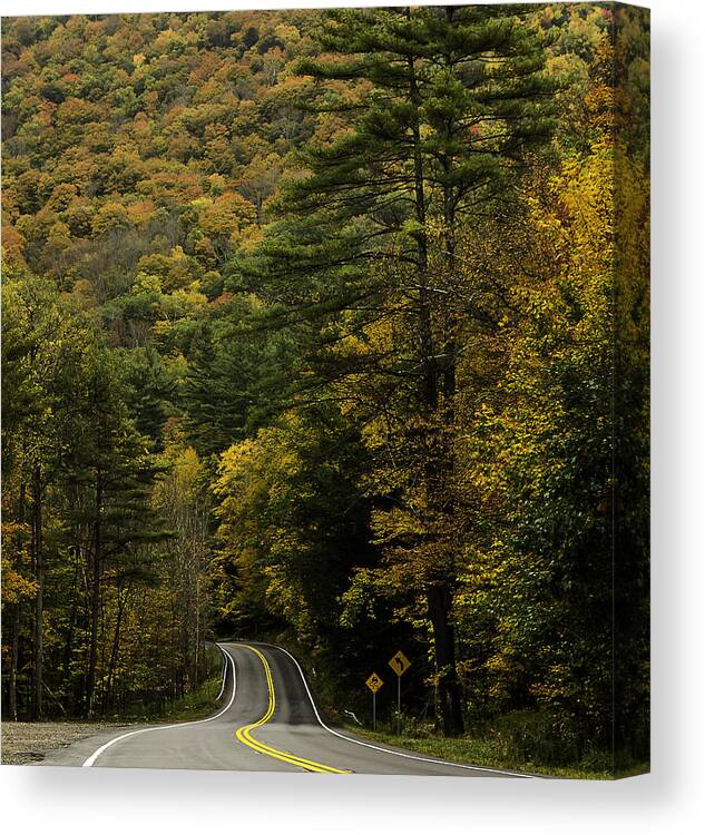 Mohawk Trail Canvas Print featuring the photograph Fall Colors on Mohawk Trail near Charlemont by Jatin Thakkar