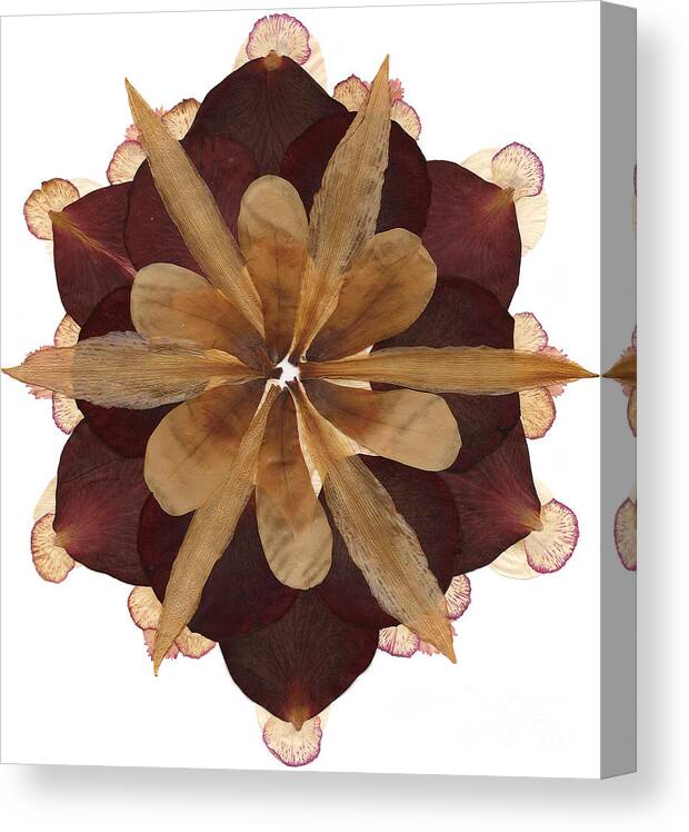 Flower Canvas Print featuring the mixed media Flower Mandala 3 by Michelle Bien