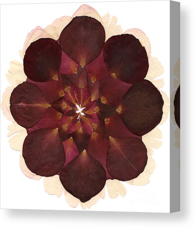 Flower Canvas Print featuring the mixed media Flower Mandala 8 by Michelle Bien