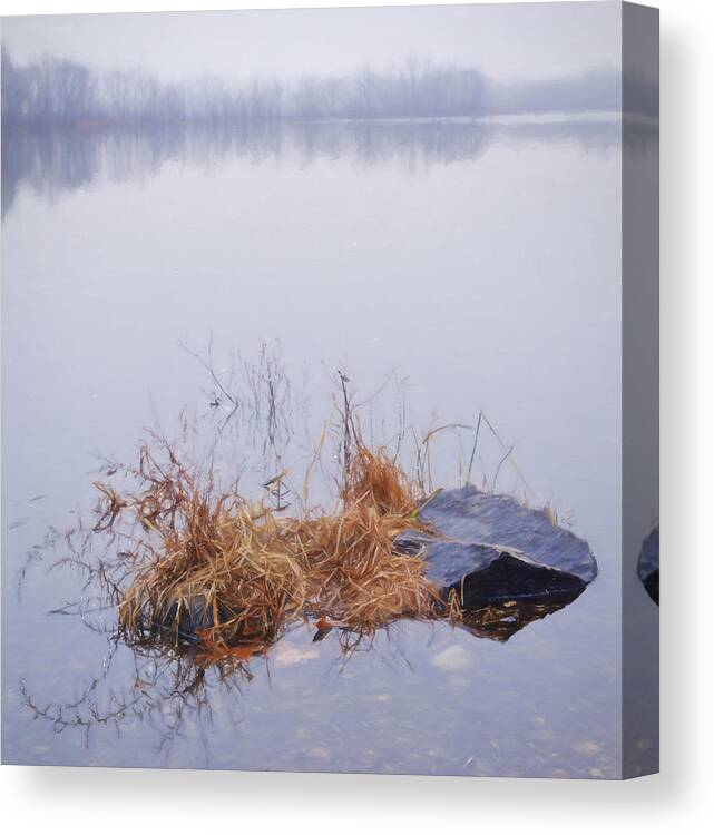 Pond Canvas Print featuring the mixed media Foggy Day at the Pond by Jean-Pierre Ducondi