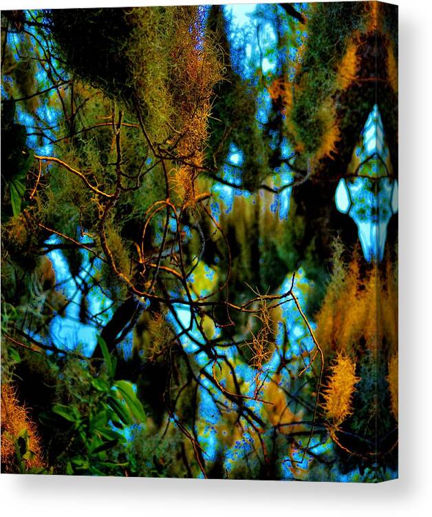 Nature Canvas Print featuring the photograph In The Center Is The Heart by Tamara Michael