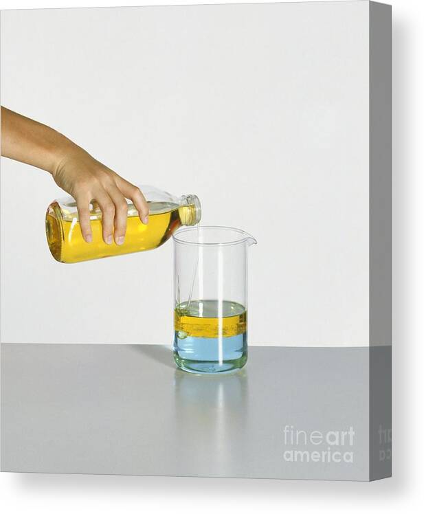 Beaker Canvas Print featuring the photograph Oil And Water by Stephen Oliver / Dorling Kindersley