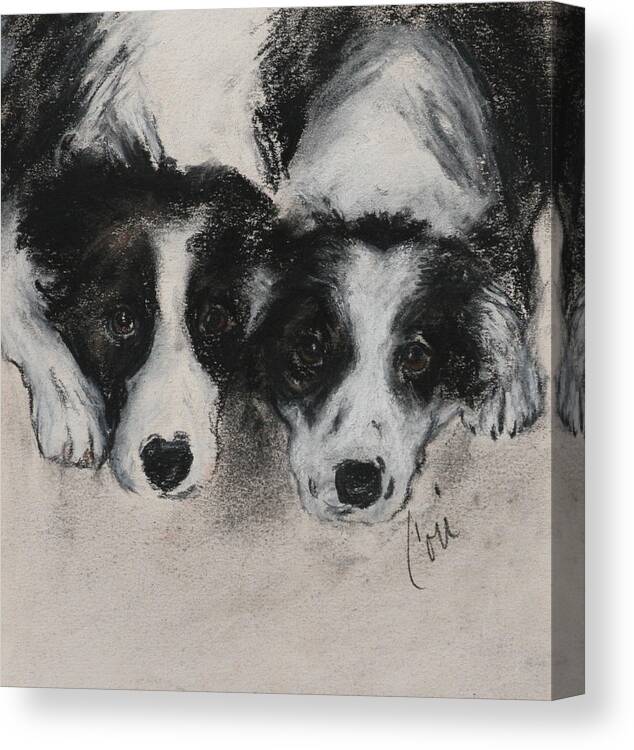 Border Collie Canvas Print featuring the drawing On The Border by Cori Solomon