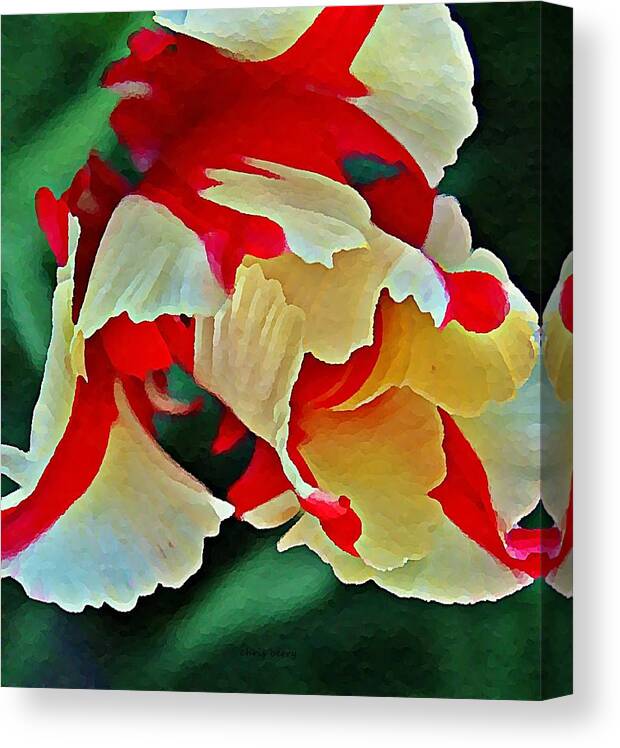 Nature Canvas Print featuring the photograph Parrot Tulip in Oils by Chris Berry