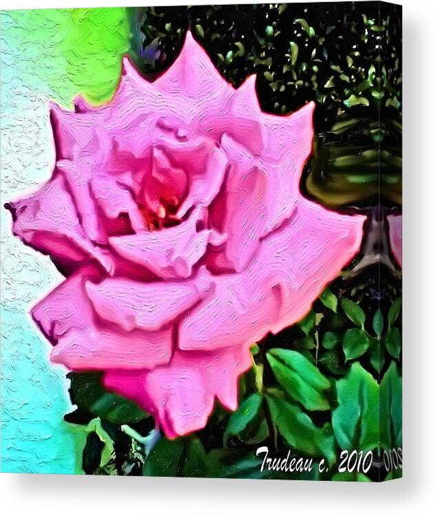 Perfect Canvas Print featuring the mixed media Perfect Rose by Tommi Trudeau