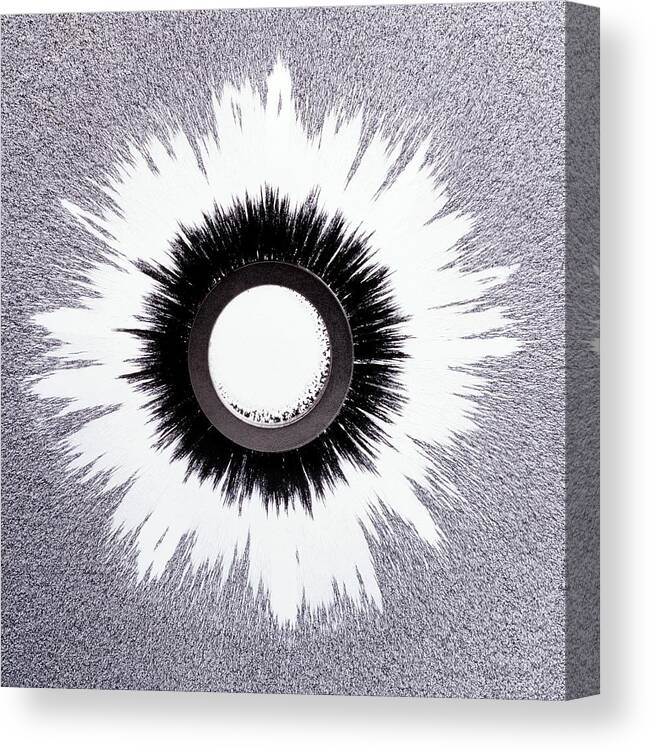Magnetic Field Canvas Print featuring the photograph Ring Magnet And Magnetic Field Pattern by Lawrence Lawry/science Photo Library