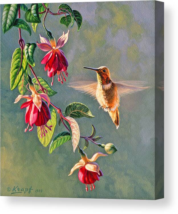 Wildlife Canvas Print featuring the painting Rufous and Fuschia by Paul Krapf