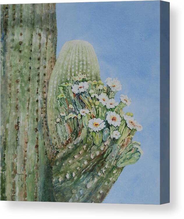 Cactus Canvas Print featuring the painting Saguaro Cactus in Bloom by Marilyn Clement