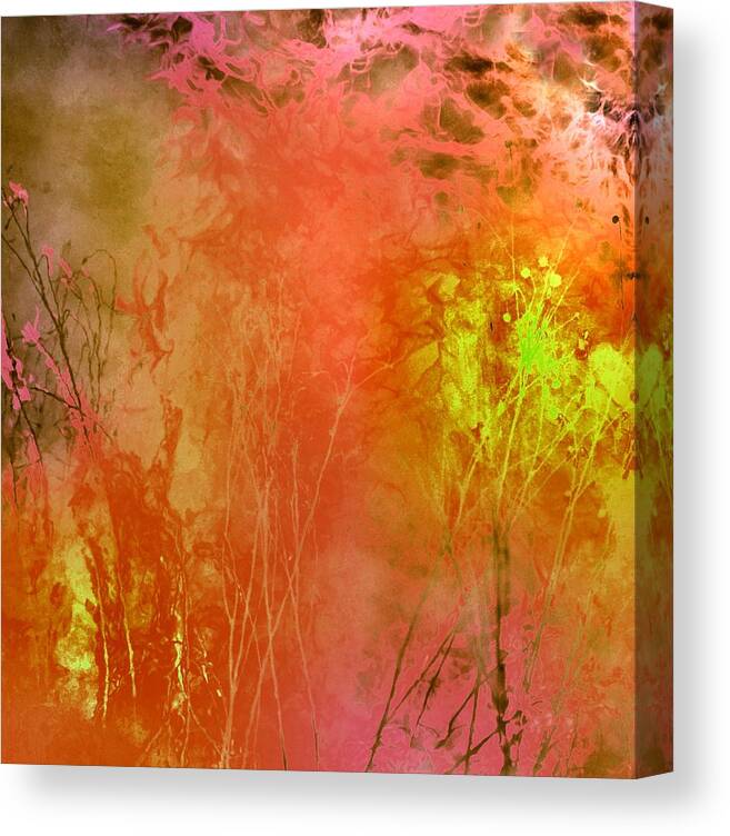 Fire Canvas Print featuring the photograph Some Like it Hot by Abbie Loyd Kern