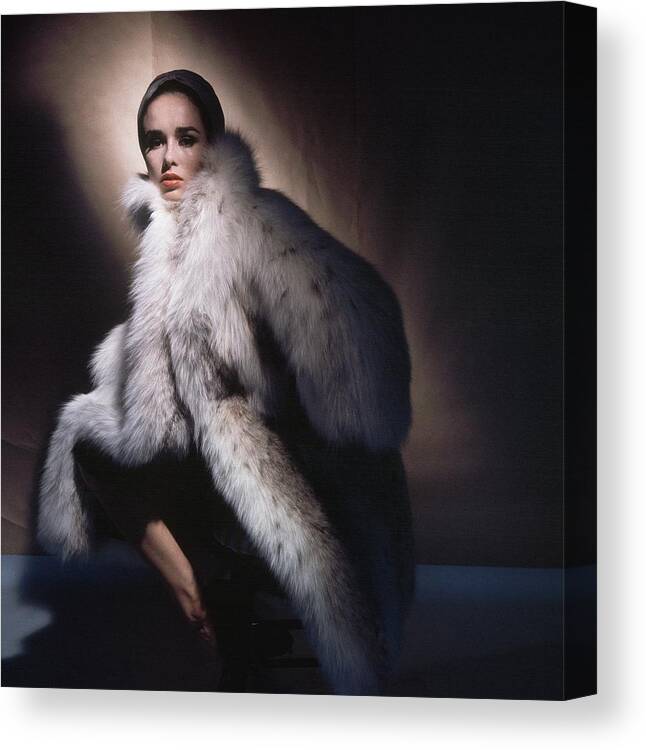 Studio Shot Canvas Print featuring the photograph Sondra Peterson Wearing Fur Coat by Horst P. Horst