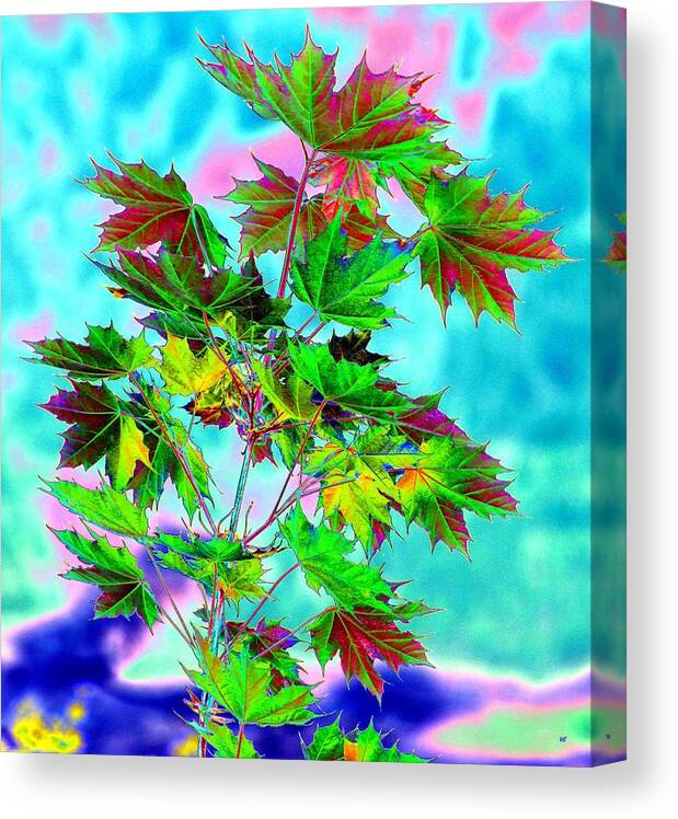 Spring Maple Leaf Design Canvas Print featuring the digital art Spring Maple Leaf Design by Will Borden
