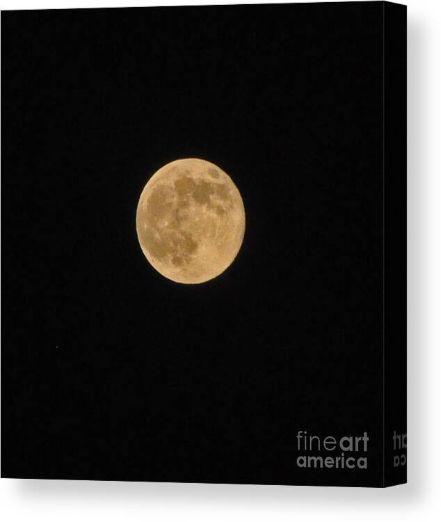 Moon Canvas Print featuring the photograph Super Moon 8 10 14 by Jay Milo