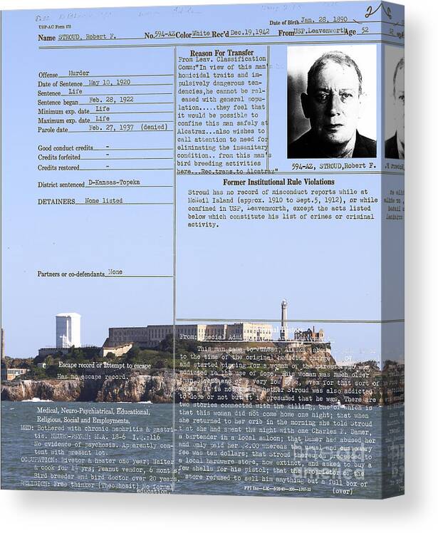 Wingsdomain Canvas Print featuring the photograph The Birdman of Alcatraz San Francisco 20130323v2 by Wingsdomain Art and Photography