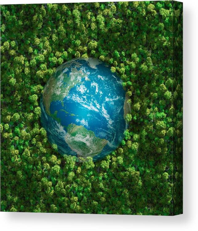 Ash Tree Canvas Print featuring the photograph The earth embedded in green shrubbery by Leonard_c