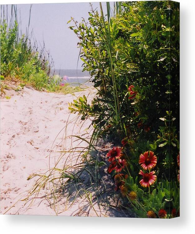 Beach Landscape Canvas Print featuring the photograph The Path by Edward Shmunes