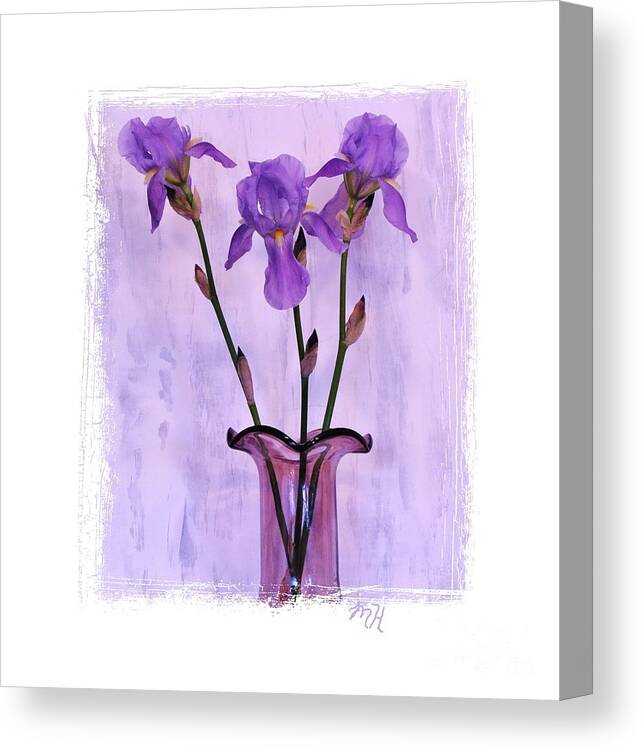 Photo Canvas Print featuring the photograph Three Purple Irises by Marsha Heiken